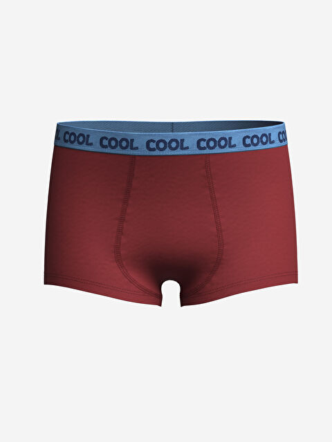 LCW Kids Baskılı Erkek Çocuk Boxer - W49671Z4-HNK