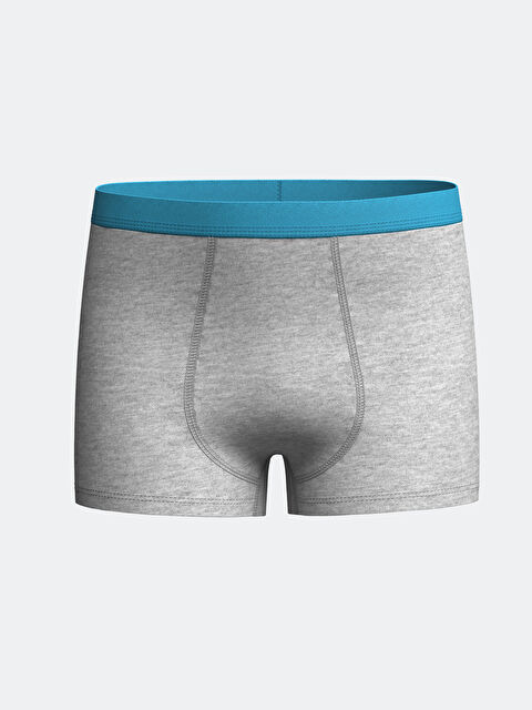 LCW Kids Erkek Çocuk Boxer