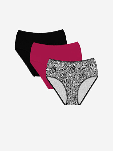 LCW DREAM Desenli Klasik Külot 3'lü - W4BS35Z8-LQJ