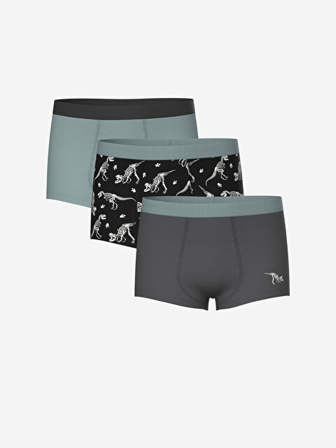 LCW Kids Baskılı Erkek Çocuk Boxer 3'lü - W4ET59Z4-LQJ