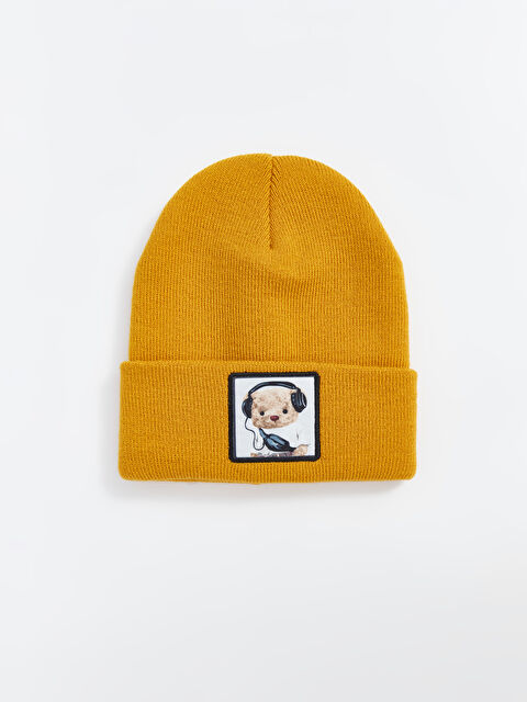 LCW ACCESSORIES Ayı Teddy Baskılı Erkek Çocuk Bere - W4FA74Z4-CZL