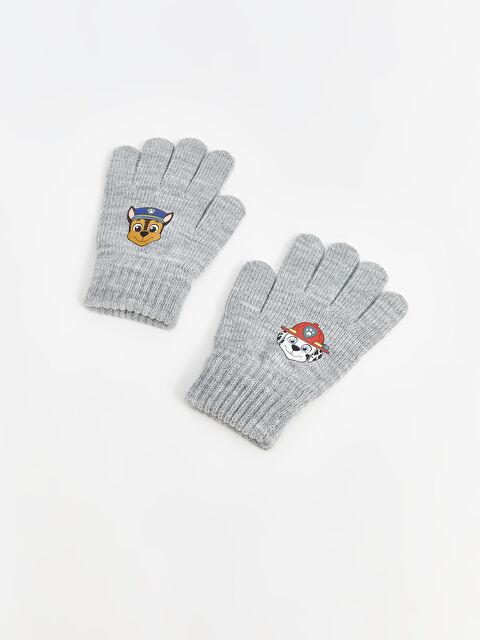 LCW baby Paw Patrol Baskılı Erkek Bebek Eldiven - W4FK83Z1-847