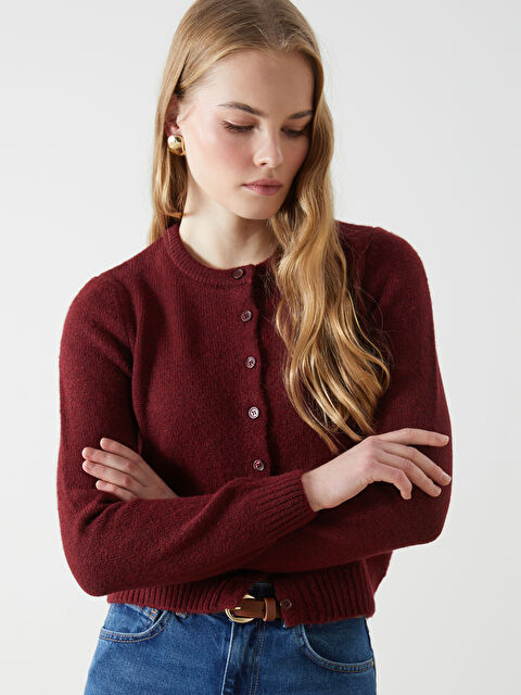 LCW Vision Bisiklet Yaka Crop Kadın Triko Hırka - W4HS94Z8-R3J