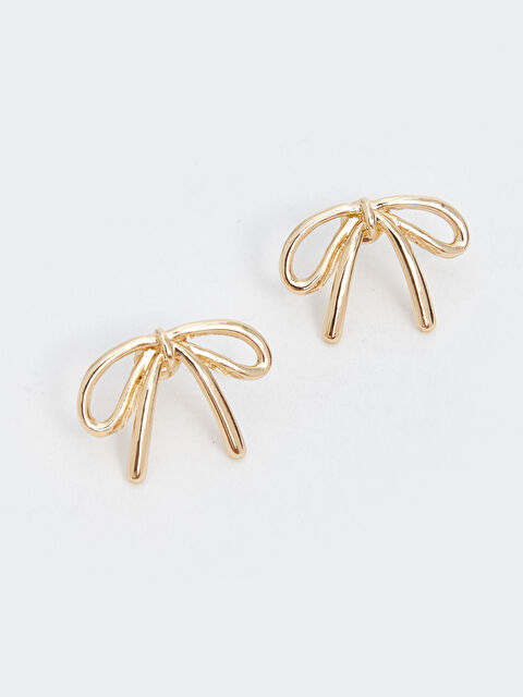 LCW ACCESSORIES Fiyonk Detaylı Kadın Küpe - W4I892Z8-J5T