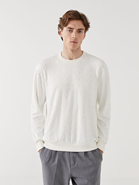 LCW Vision Crew Neck Long Sleeve Men's Sweatshirt - W4IF44Z8-R9J