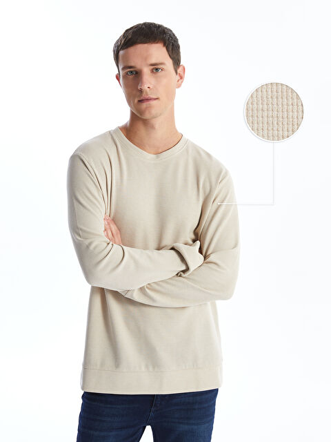 LC WAIKIKI Bisiklet Yaka Uzun Kollu Erkek Dokulu Sweatshirt - W4J552Z8-YXX