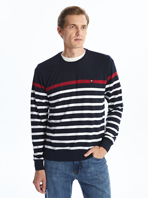 LC WAIKIKI Bisiklet Yaka Uzun Kollu Çizgili Erkek Triko Kazak - W4KK46Z8-DWP