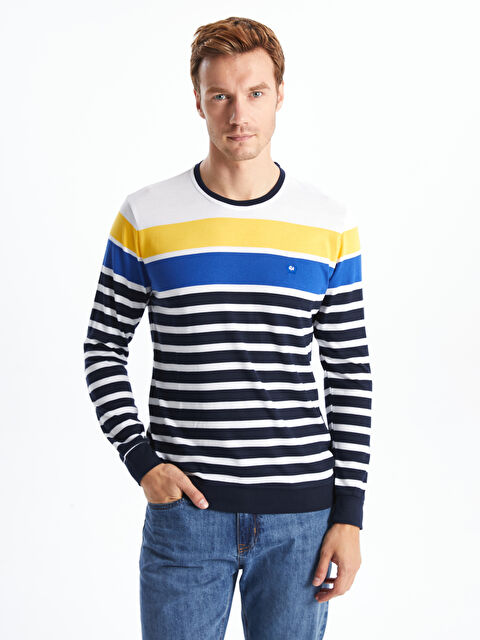 LC WAIKIKI Bisiklet Yaka Uzun Kollu Çizgili Erkek Triko Kazak - W4KK47Z8-DWP