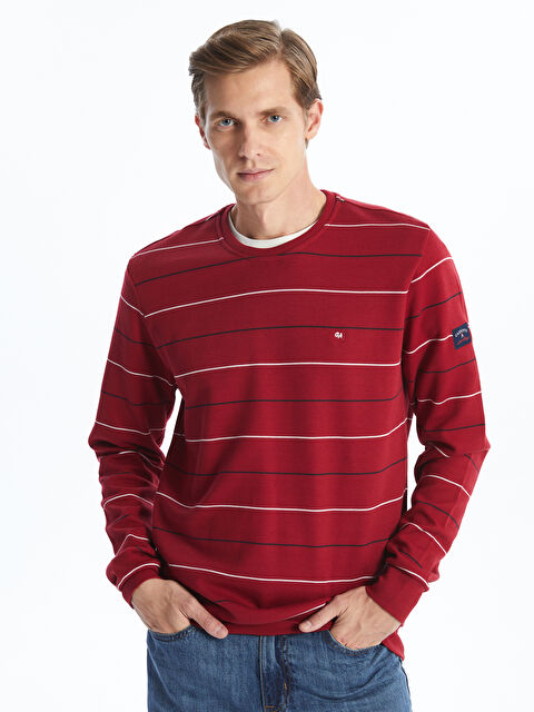 LC WAIKIKI Bisiklet Yaka Uzun Kollu Çizgili Erkek Triko Kazak - W4KK48Z8-HCC