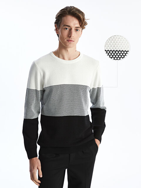 LCWAIKIKI Classic Bisiklet Yaka Uzun Kollu Renk Bloklu Erkek Triko Kazak - W4LS37Z8-CVL