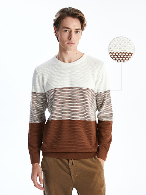 LCWAIKIKI Classic Bisiklet Yaka Uzun Kollu Renk Bloklu Erkek Triko Kazak - W4LS37Z8-GQS