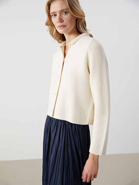 LCW Vision Bisiklet Yaka Taşlı Kadın Triko Hırka - W4LT51Z8-FDU