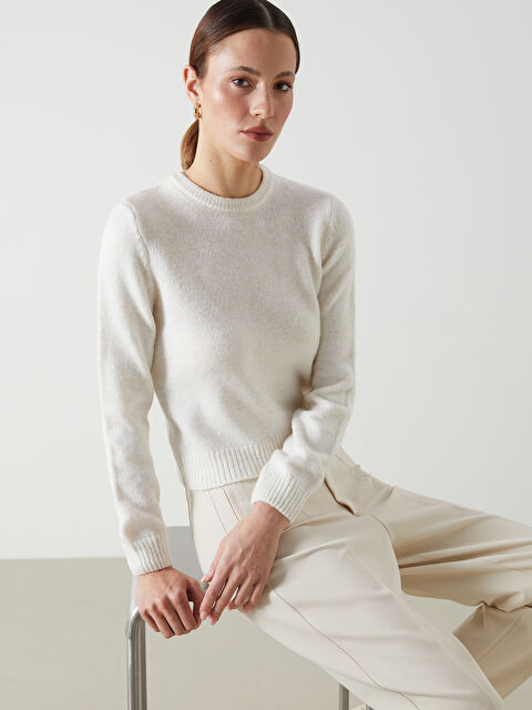 LCW Vision Bisiklet Yaka Kadın Triko Kazak - W4LV49Z8-R9J