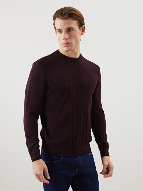 LCWAIKIKI Classic Bisiklet Yaka Erkek Triko Kazak - W4M109Z8-SPK