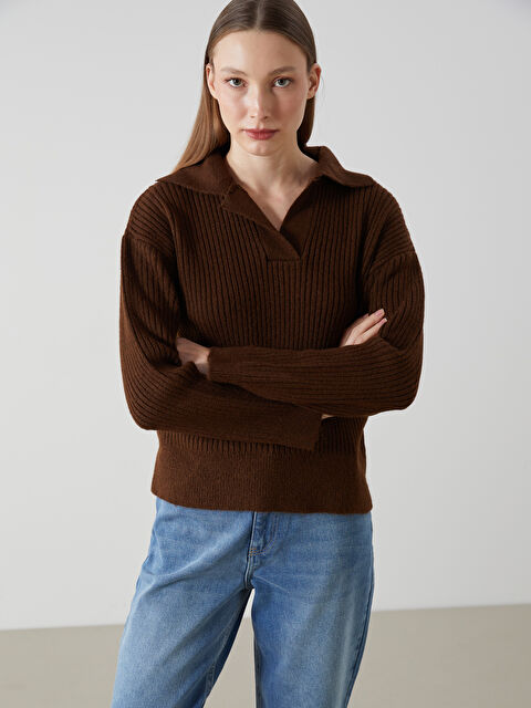 LCW Vision Polo Yaka Kadın Triko Kazak - W4M392Z8-D2N