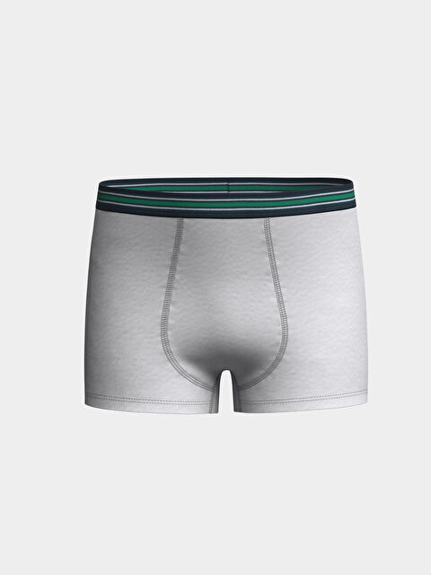 LCW Kids Basic Erkek Çocuk Boxer - S50210Z4-LAK