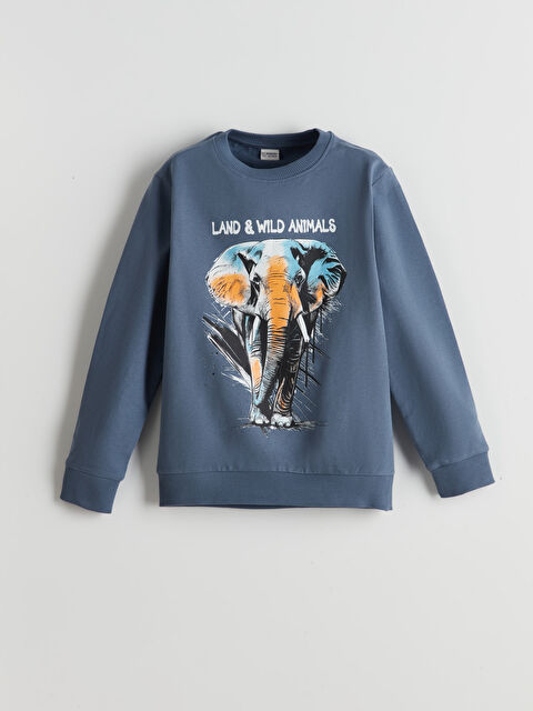 LCW Kids Bisiklet Yaka Erkek Çocuk Sweatshirt - S51957Z4-YLA