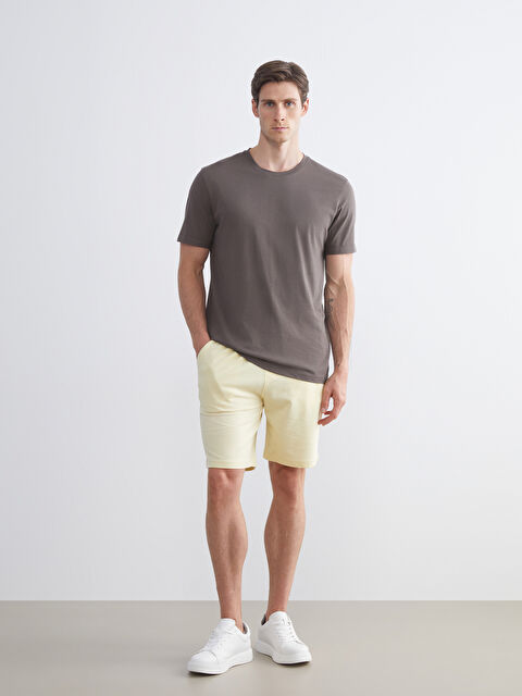 LCWAIKIKI Classic Standart Kalıp Erkek Şort - S53431Z8-94T