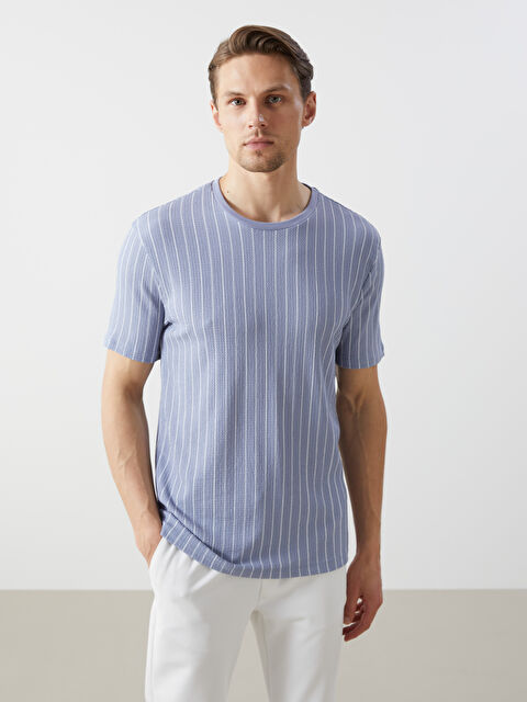 LCW Vision Bisiklet Yaka Kısa Kollu Çizgili Erkek Dokulu Tişört - S53483Z8-FHM