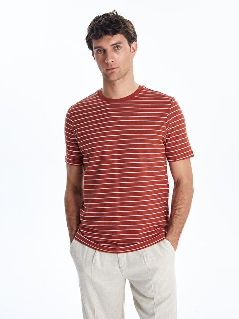 LCWAIKIKI Classic Bisiklet Yaka Çizgili Erkek Tişört - S57190Z8-YS4