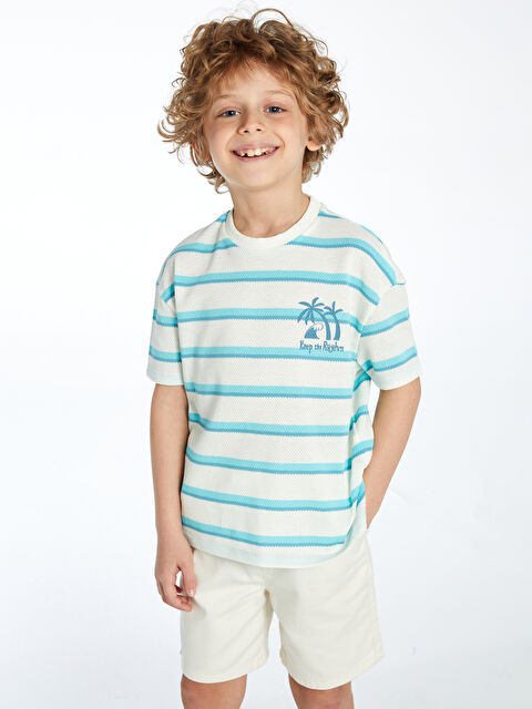 LCW Kids Crew Neck Striped Boys' T-Shirt - S5DM75Z1-LFC