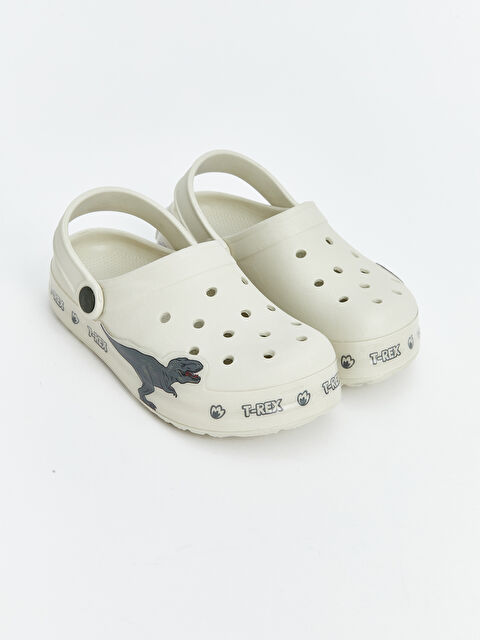 LCW STEPS Dinozor Baskılı Erkek Çocuk Plaj Sandaleti - S5HK71Z4-VKK