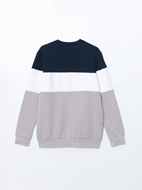 LCWAIKIKI Classic Bej Bisiklet Yaka Uzun Kollu Renk Bloklu Erkek