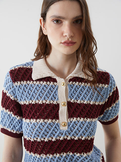 LCW Vision Polo Yaka Renk Bloklu Kadın Triko Kazak - S5N326Z8-LEN