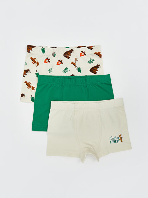 LCW Kids Baskılı Penye Erkek Çocuk Boxer 3'lü - S5O425Z1-LQA
