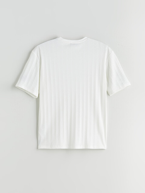LCW Vision Crew Neck Men's Textured T-Shirt - S5QF95Z8-R9J - LC