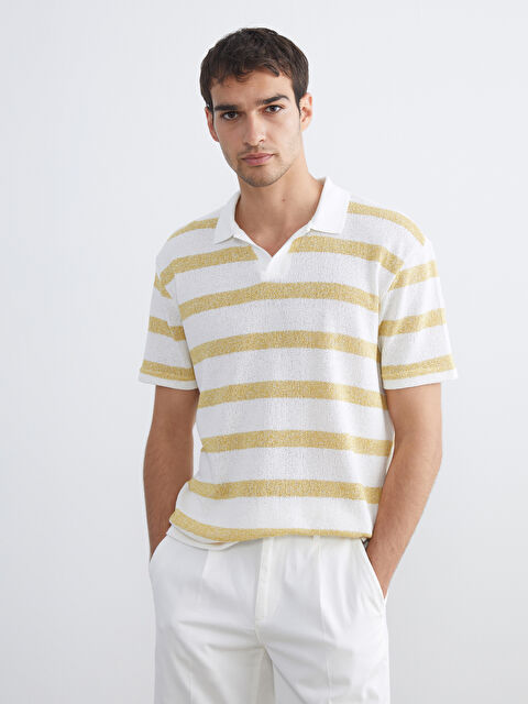 LCW Vision Polo Yaka Çizgili Penye Erkek Tişört - S5QT67Z8-LKF