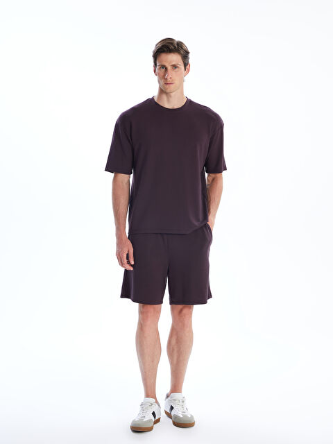 LCW Vision Standart Kalıp Erkek Şort - S5R149Z8-UV2