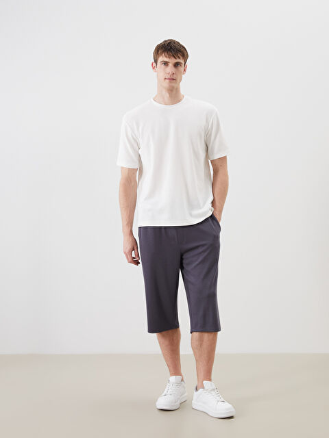 LCWAIKIKI Classic Standart Kalıp Erkek Şort - S5RP96Z8-ZCE