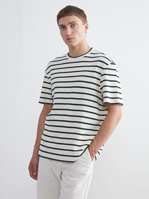 LCW Vision Crew Neck Striped Jersey Men's T-Shirt - S5S378Z8-LFW