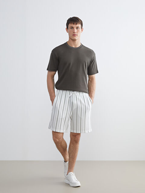 LCW Vision Standart Kalıp Çizgili Erkek Şort - S5S495Z8-LFT