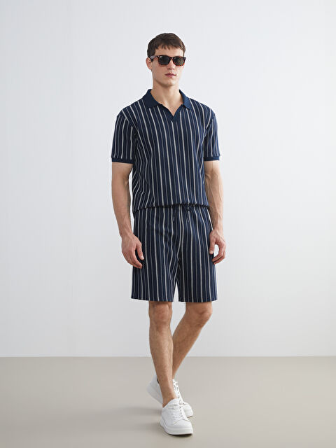 LCW Vision Standart Kalıp Çizgili Erkek Şort - S5S496Z8-LGS