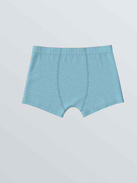 LCW Kids Erkek Çocuk Boxer - W50133Z4-JSW