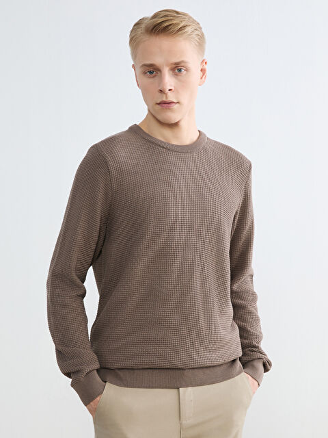 LCW Vision Bisiklet Yaka Kareli Erkek Triko Kazak