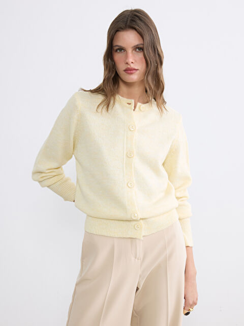 LCW EVERYDAY Crew Neck Women Sweater Cardigan - W5DD44Z8-CT1