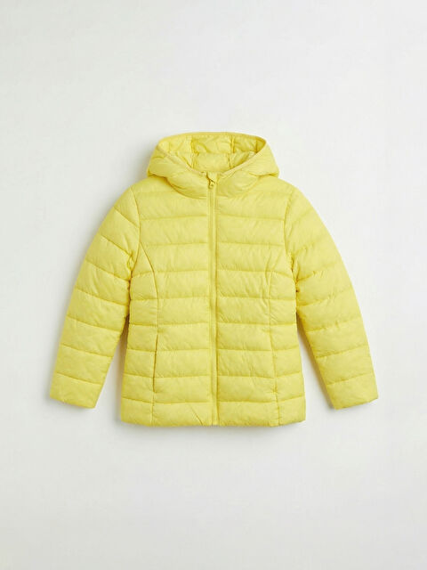 LCW ECO Mantel - W5FE35Z4-FPR