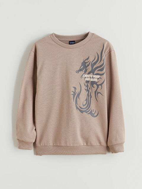 LCW ECO Bisiklet Yaka Erkek Çocuk Sweatshirt - W5J269Z4-GX6