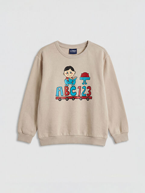 LCW ECO BRAON Dukserica Dečak