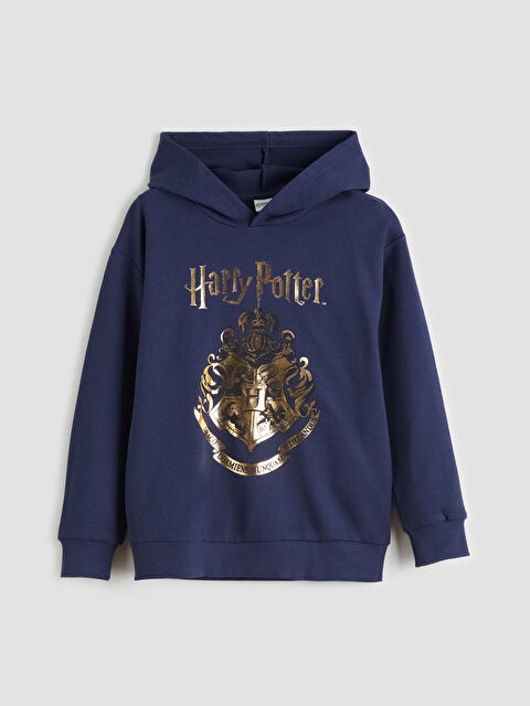 LCW ECO Hooded Harry Potter Printed Boys' Sweatshirt - W5M882Z4-HRC