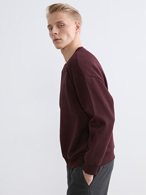 LCW Vision Bisiklet Yaka Erkek Kalın Sweatshirt - W5ND52Z8-ZNW