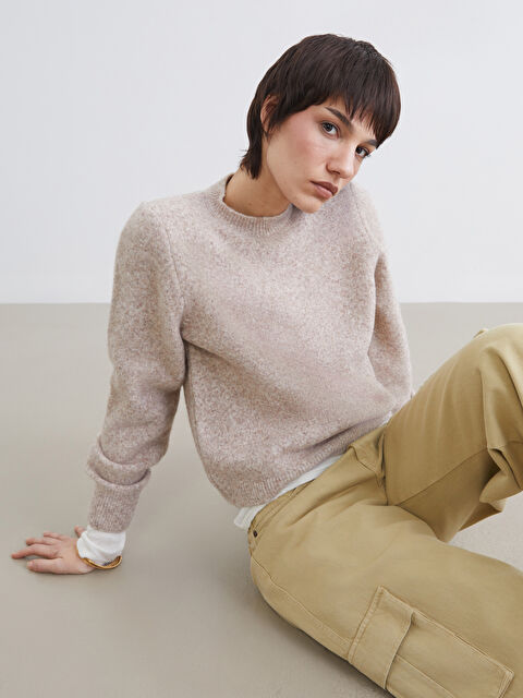 LCW Vision Bisiklet Yaka Kadın Triko Kazak	 - W5OI27Z8-DFV