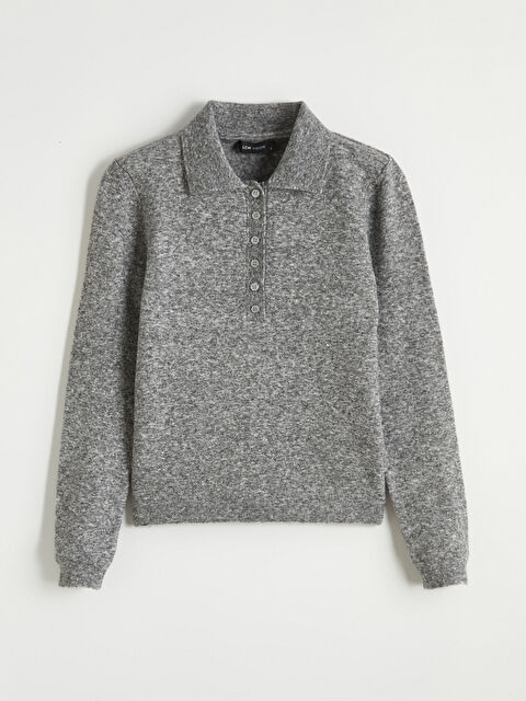 LCW Vision Polo Yaka Kadın Triko Kazak
 - W5OI70Z8-D2X