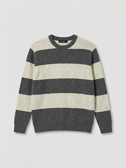 LCW Vision Bisiklet Yaka Çizgili Erkek Triko Kazak - W5OL97Z8-LAL