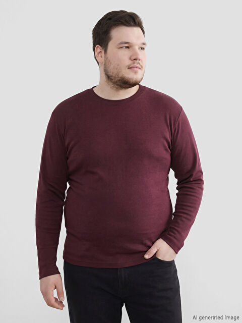 LCWAIKIKI Classic Bisiklet Yaka Uzun Kollu Erkek Tişört