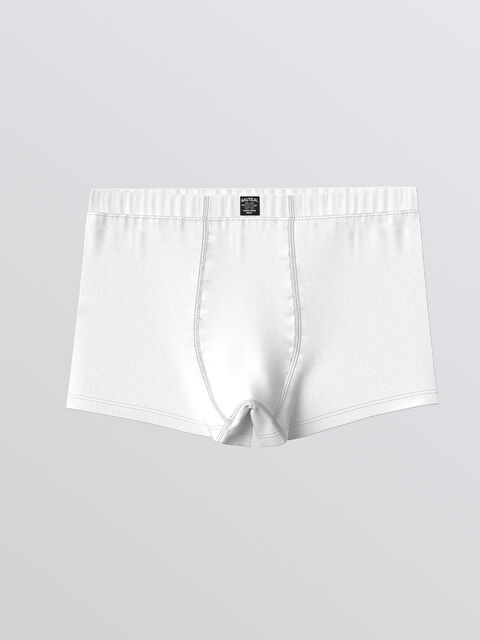 LCW Kids Erkek Çocuk Boxer