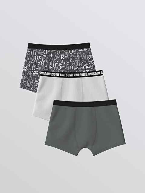 LCW Kids SIVA Bokserice Dečak - S60526Z4-LRW